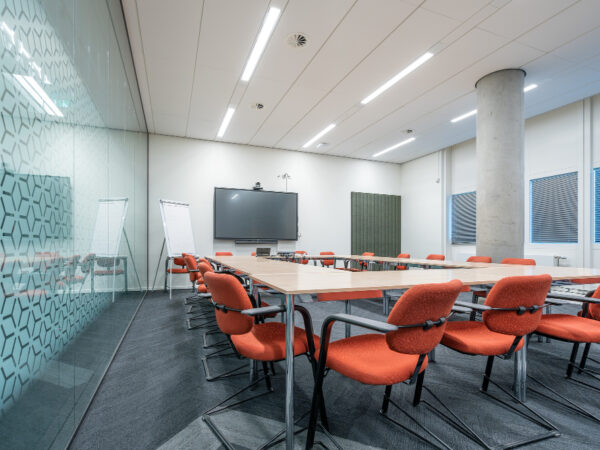 Patterned Frosted Glass partition in an office