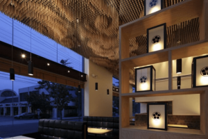 interior design ceiling ideas by softzone interiors