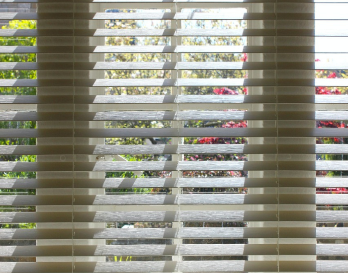 Venetian blinds by softzone interiors
